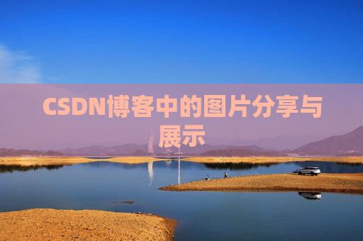 CSDN博客中的图片分享与展示